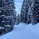Andrea 1 By Smr - Close To The Gondola Rauris