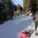 Andrea 1 By Smr - Close To The Gondola * Rauris