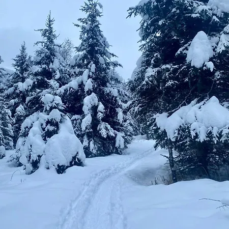 Andrea 1 By Smr Inc And Near Gondola * Rauris
