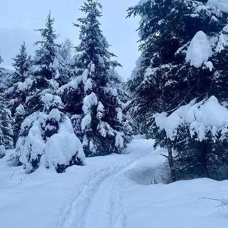 Andrea 1 By Smr - Close To The Gondola *