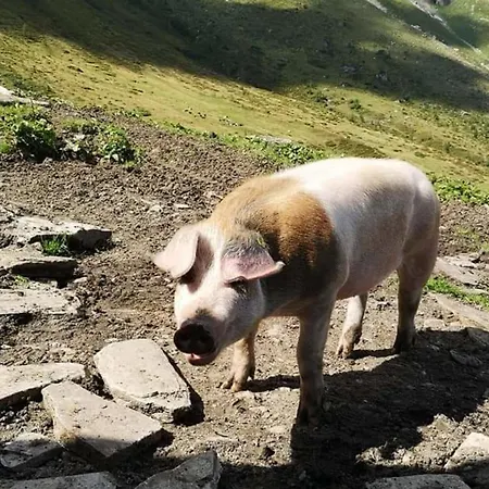 Apartamento Andrea 1 By Smr - Close To The Gondola