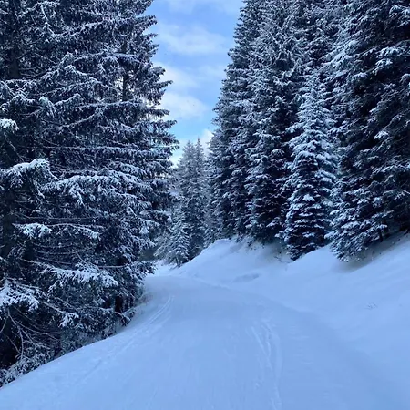 Andrea 1 By Smr - Close To The Gondola Rauris