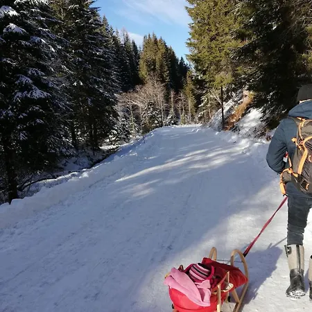 Andrea 1 By Smr - Close To The Gondola * Rauris