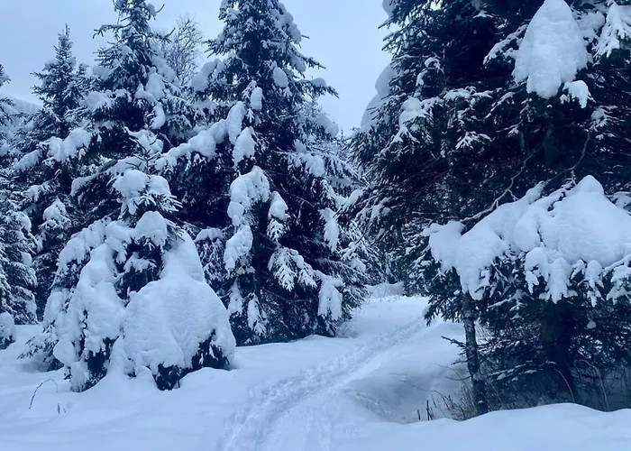 Andrea 1 By Smr - Close To The Gondola *