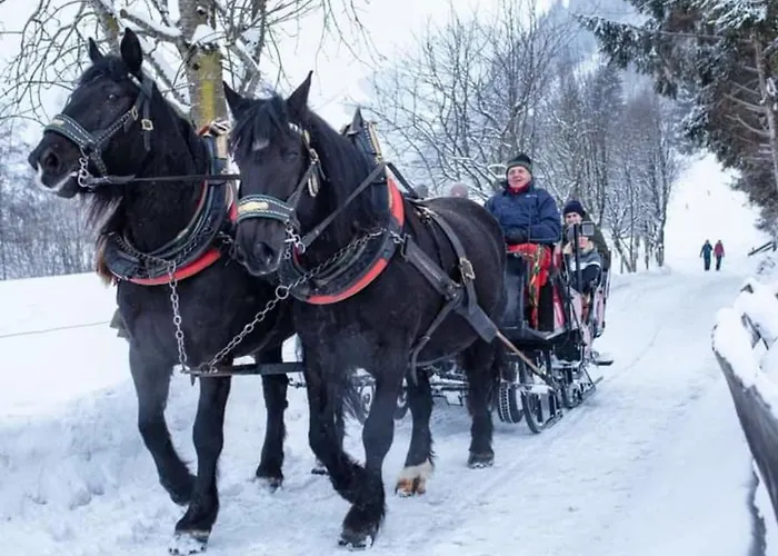 Апартаменты Andrea 1 By Smr - Close To The Gondola