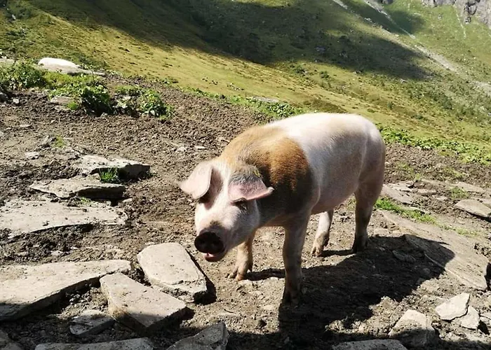 Апартаменты Andrea 1 By Smr - Close To The Gondola