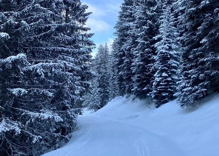 Andrea 1 By Smr - Close To The Gondola Rauris