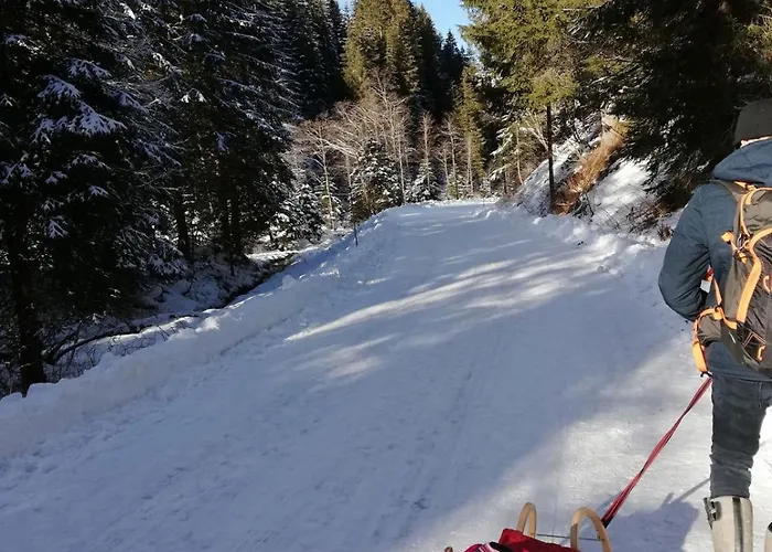 Andrea 1 By Smr - Close To The Gondola * Rauris