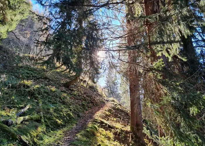 Апартаменты Andrea 1 By Smr - Close To The Gondola