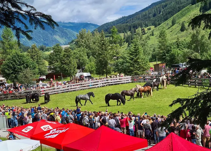 Andrea 1 By Smr - Close To The Gondola *